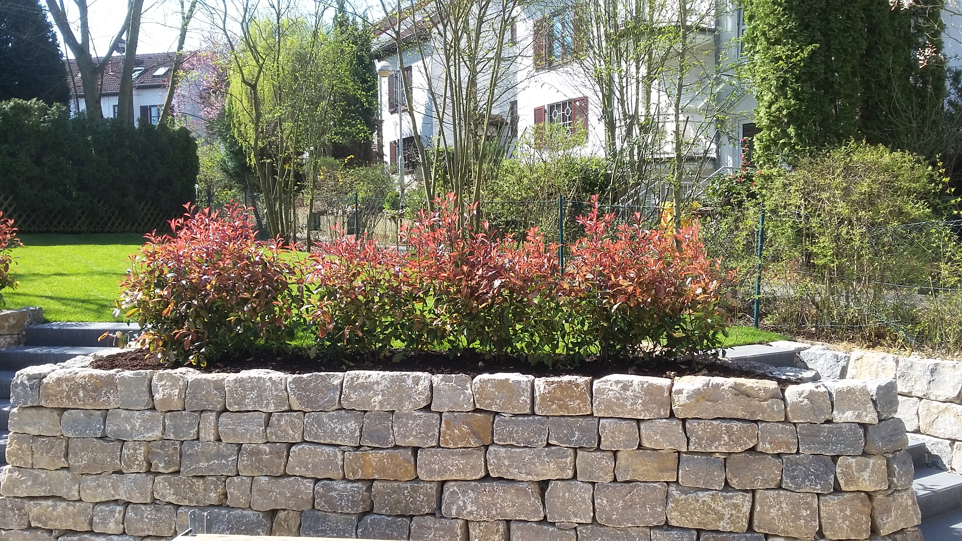 Natursteinmauer mit Pflanzung